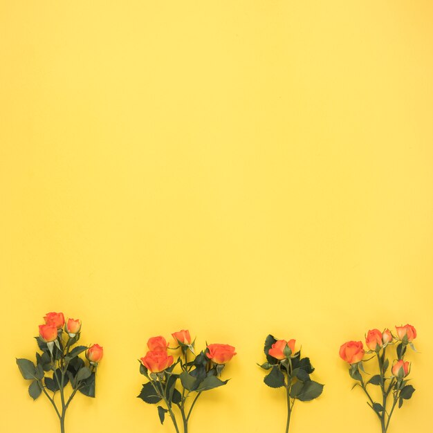 Rosas pequeñas en mesa amarilla.