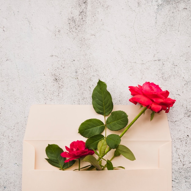 Rosas rojas en el sobre de papel contra el fondo dañado