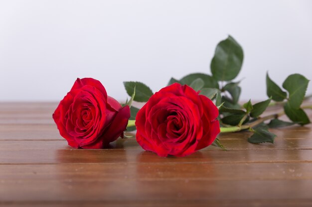 Rosas rojas