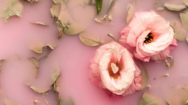 Rosas rosadas en agua rosada