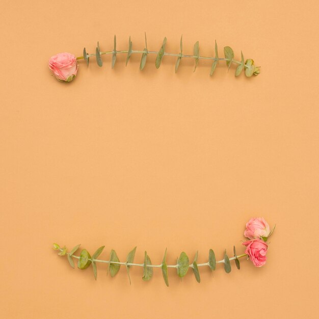 Rosas rosadas con hojas de eucalipto sobre la superficie marrón