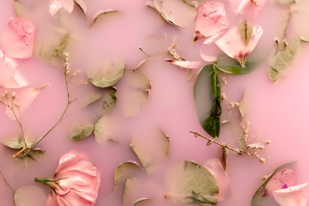 Rosas rosas y hojas en agua de color rosa
