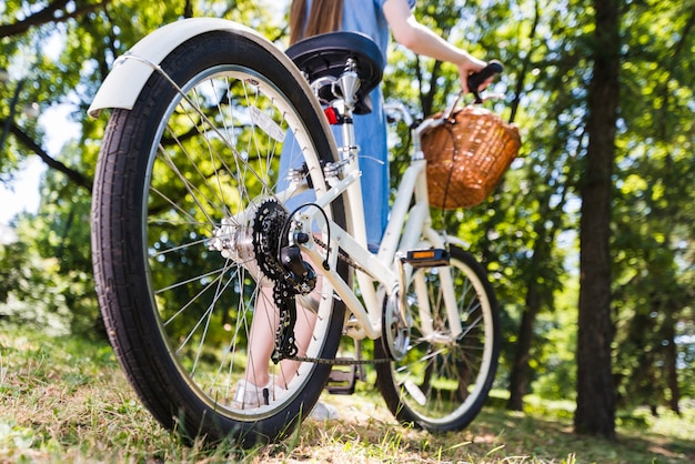 Rueda trasera de ángulo bajo de una bicicleta.