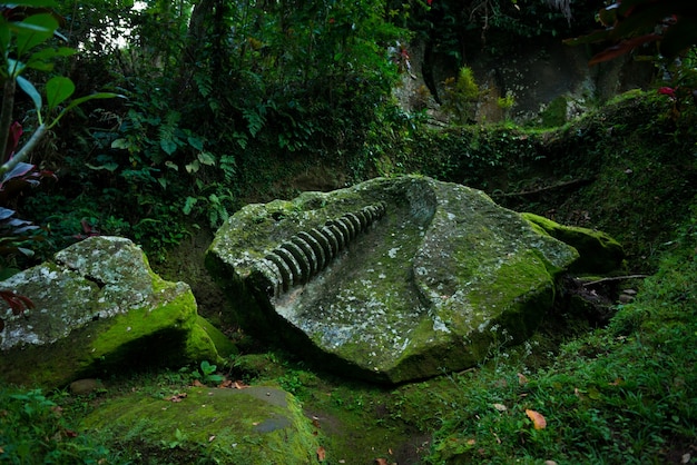 Ruinas del templo antiguo