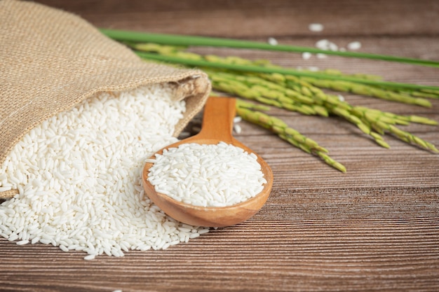 Saco de arroz con arroz en cuchara de madera y planta de arroz