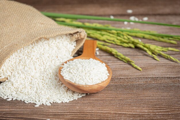 Saco de arroz con arroz en cuchara de madera y planta de arroz