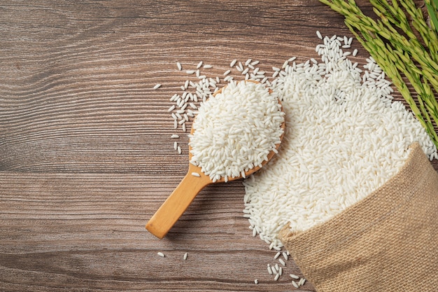 Saco de arroz con arroz en cuchara de madera y planta de arroz