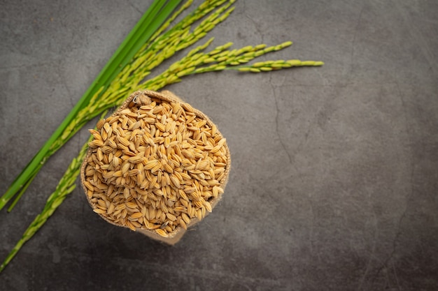 un saco de semillas de arroz con planta de arroz