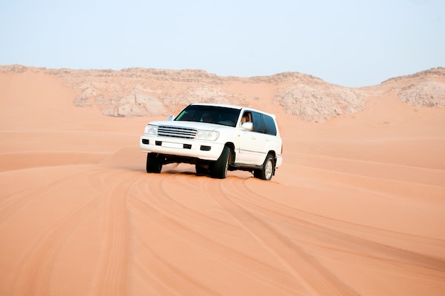 Safari por el desierto