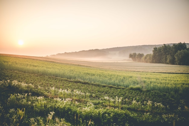 Salida del sol sobre tierras de cultivo