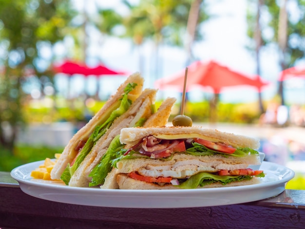 Foto gratuita sándwich para desayuno en plato blanco.