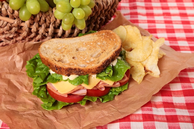 Sándwich de jamón y queso en mantel de picnic