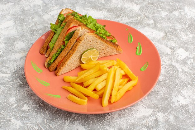 Sándwiches y papas fritas dentro de la placa de melocotón en gris