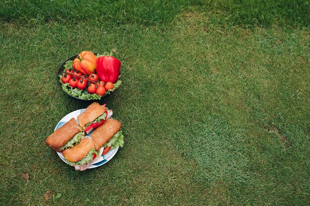 Sándwiches y verduras en la hierba Vista superior de dos platos de vegetales ecológicos frescos y hermosos