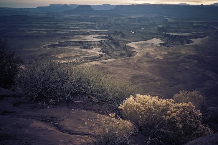 Photo Gratis scenery of different kinds of plants growing in the middle of hills in the canyon