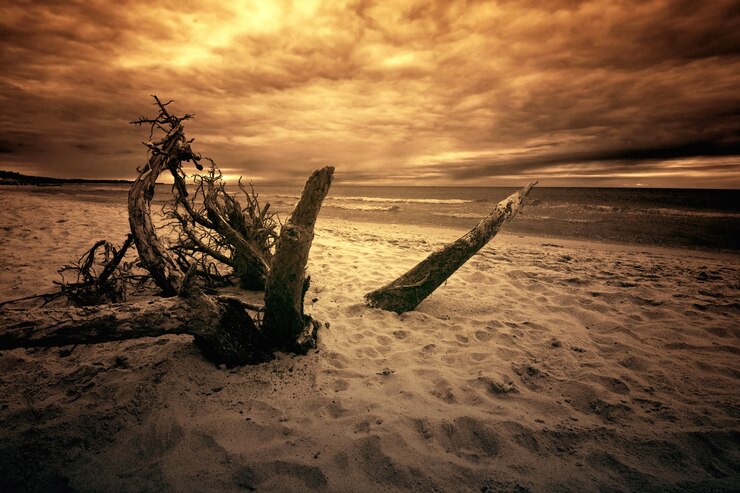 Photo Gratis sea and ocean.
