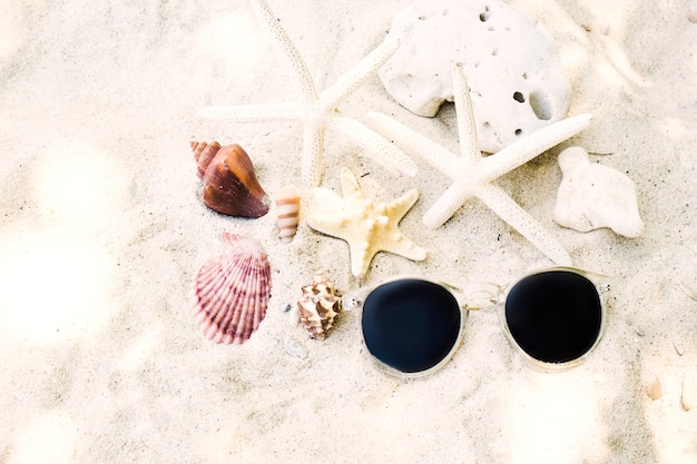 Seashell y gafas de sol en la arena