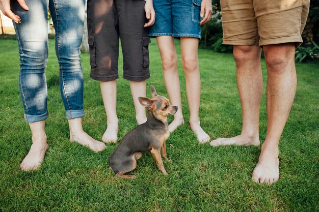 Sección baja de la familia con su mascota en el césped en el parque