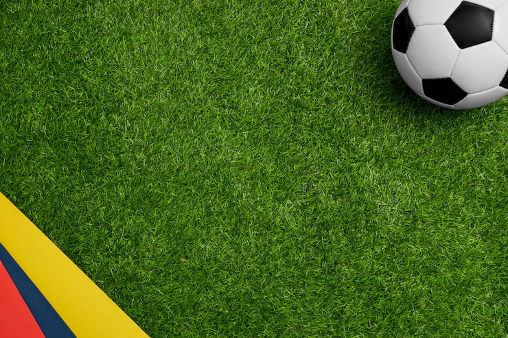 Foto gratuito selección colombiana de fútbol bodegón concepto