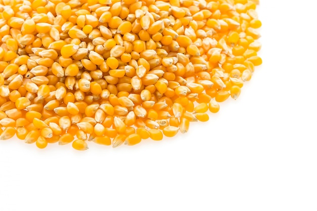 Semilla de maíz mazorca