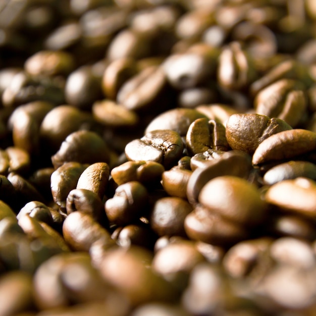 las semillas de café aroma de energía alimentaria