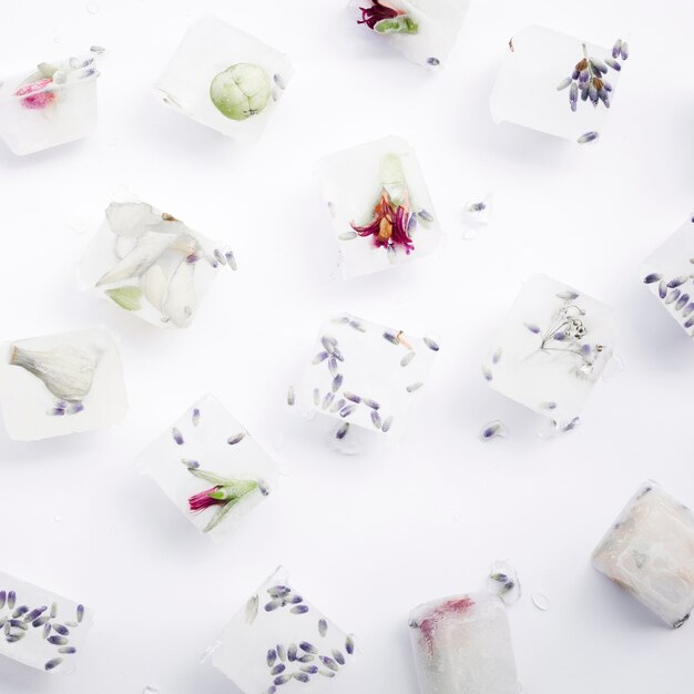 Semillas y flores en cubitos de hielo.