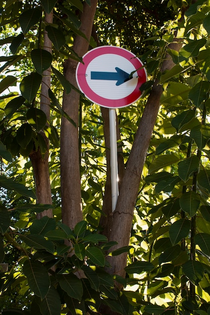 Foto gratuita señal de flecha de tráfico en el bosque