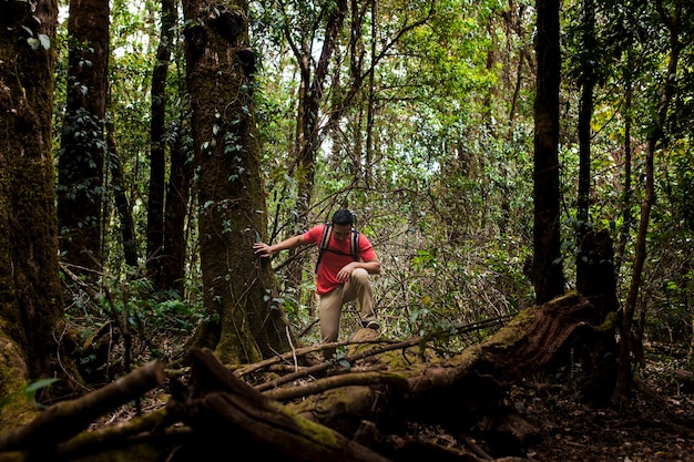 Foto gratuita senderista en bosque profundo