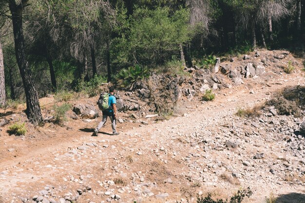 Senderista en camino en bosque