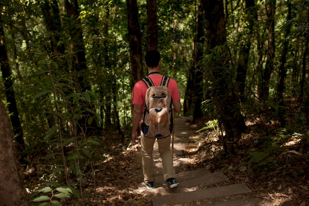 Senderista en un camino en el bosque