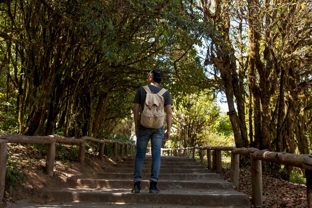 Senderista en escaleras en bosque