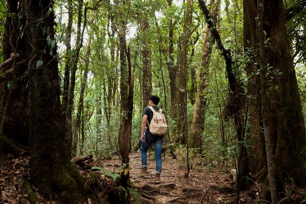 Senderista con mochila en un bosque