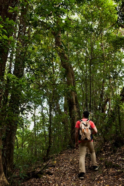 Foto gratuita senderista con mochila en una colina