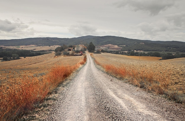 sendero en el campo, toscana, italia