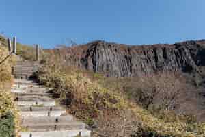 Foto gratuita sendero de escaleras en el sendero yeongsil del monte hallasan en la isla de jeju