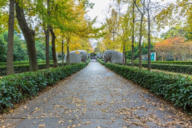 Sendero Por Estatuas En El Mausoleo De Ming Xiaoling