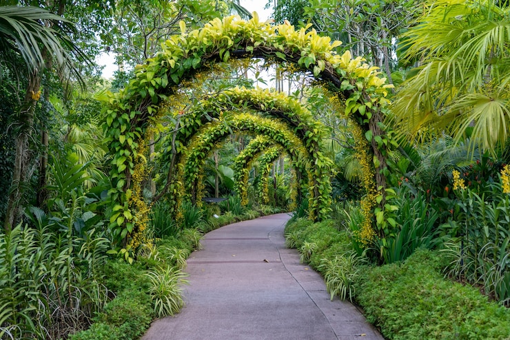 Foto gratuito sendero bajo un hermoso arco de flores y plantas.