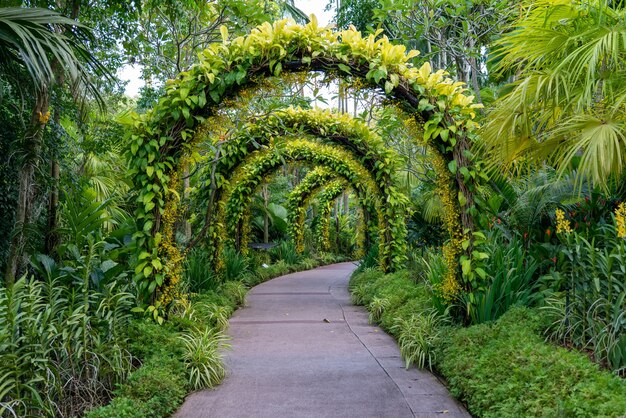 Sendero bajo un hermoso arco de flores y plantas.