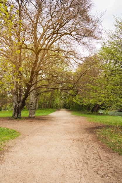 Sendero en el parque de otoño