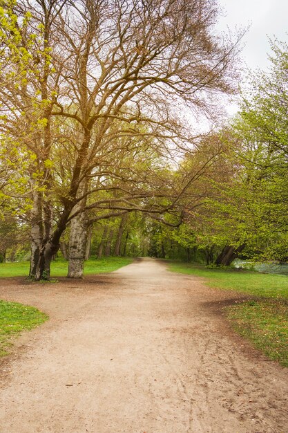 Sendero en el parque de otoño