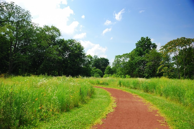 Sendero rural tranquilo