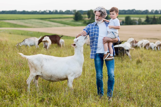 Senior celebración niño y jugar con cabras