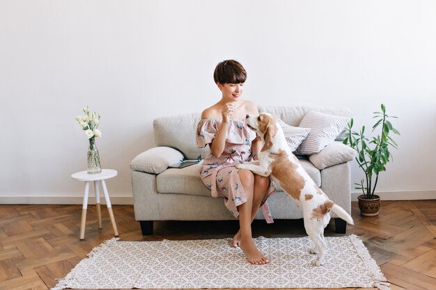 Señora bonita con cabello brillante jugando con perro beagle pasar tiempo en casa después del trabajo