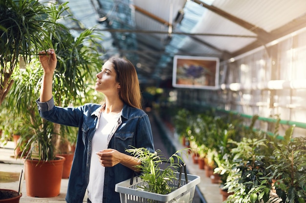 Señorita eligiendo plantas para su patio trasero en una tienda de suministros de jardinería comprando flores El verano es el mejor momento para cuidar el hogar