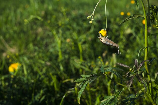 Señuelo de la pesca con flor amarilla fresca