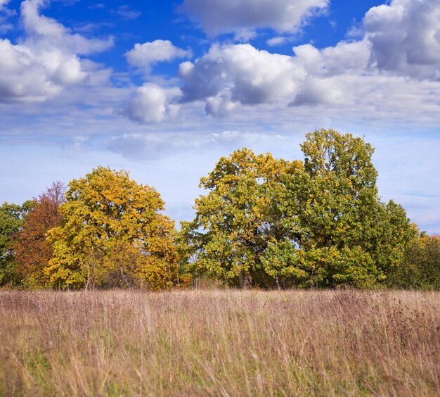 Septiembre paisaje con árboles