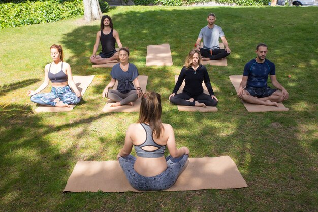 Serenas personas pacíficas meditando en el parque