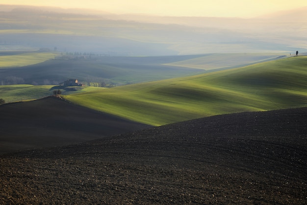 Serenidad del campo