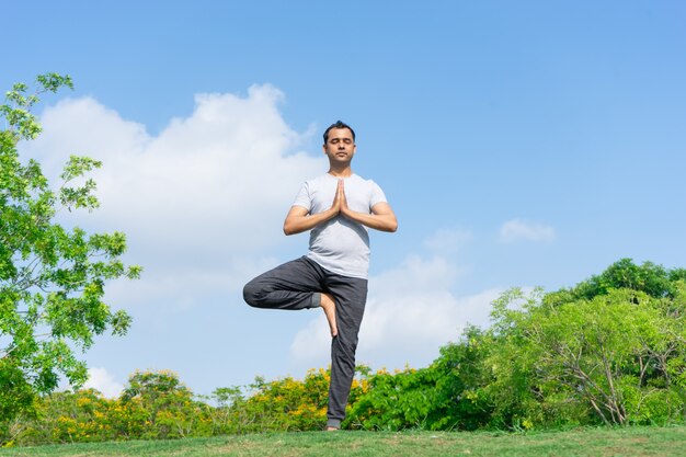 Sereno indio hombre de pie en el árbol de yoga plantean en el parque con arbustos verdes