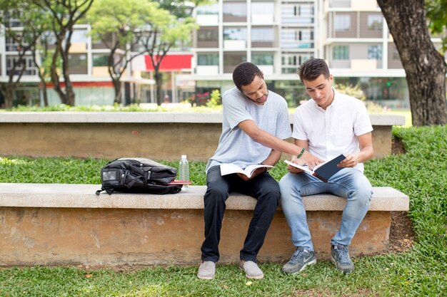 Serio multiétnico estudiantes masculinos haciendo la tarea